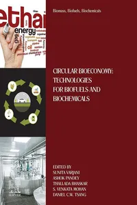 Biomass, Biofuels, Biochemicals_cover