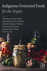 Indigenous Fermented Foods for the Tropics_cover