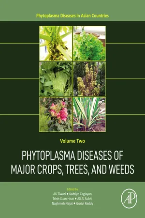 Phytoplasma Diseases of Major Crops, Trees, and Weeds