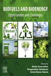 Biofuels and Bioenergy_cover