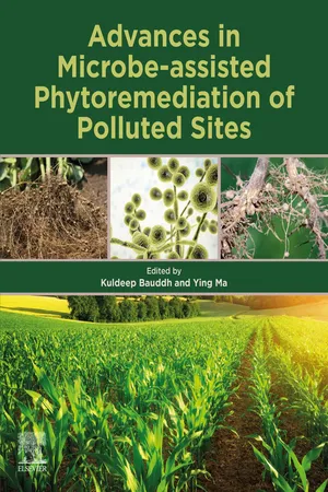 Advances in Microbe-assisted Phytoremediation of Polluted Sites