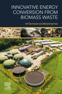 Innovative Energy Conversion from Biomass Waste_cover