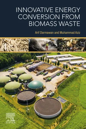 Innovative Energy Conversion from Biomass Waste