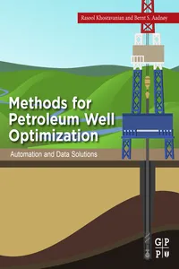 Methods for Petroleum Well Optimization_cover