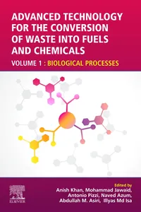 Advanced Technology for the Conversion of Waste into Fuels and Chemicals_cover