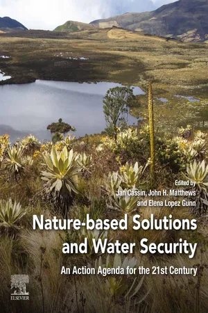 Nature-Based Solutions and Water Security