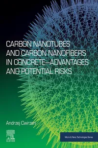 Carbon Nanotubes and Carbon Nanofibers in Concrete—Advantages and Potential Risks_cover
