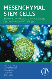 Mesenchymal Stem Cells_cover