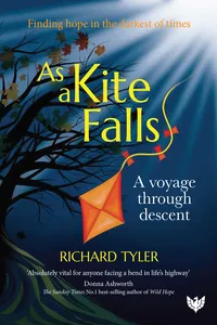 As a Kite Falls_cover