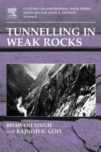 Tunnelling in Weak Rocks_cover