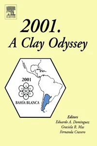 2001. A Clay Odyssey_cover