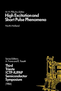 High Excitation and Short Pulse Phenomena_cover