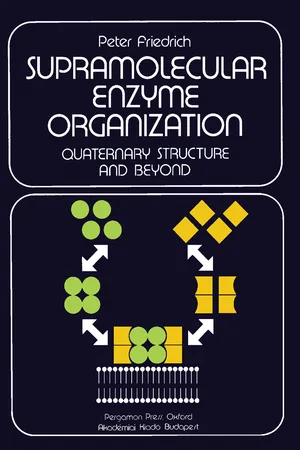 Supramolecular Enzyme Organization