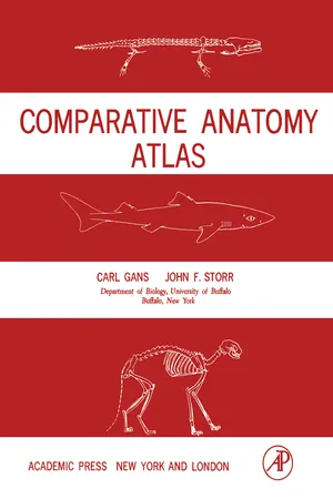 Comparative Anatomy Atlas