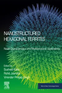Nanostructured Hexagonal Ferrites_cover