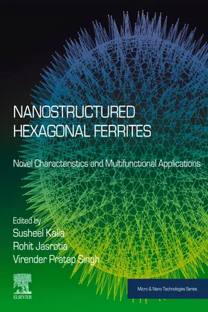 Nanostructured Hexagonal Ferrites