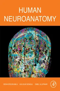 Human Neuroanatomy_cover