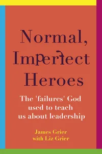 Normal, Imperfect Heroes_cover