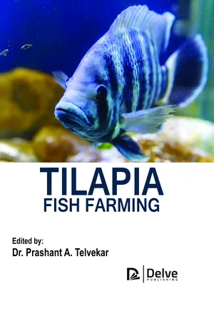 Tilapia Fish Farming