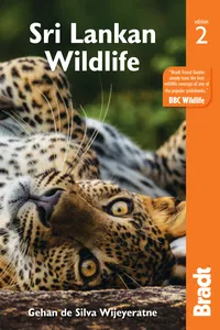 Sri Lankan Wildlife_cover