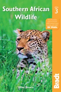 Southern African Wildlife_cover