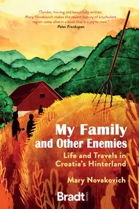 My Family and Other Enemies_cover