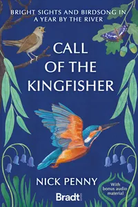 Call of the Kingfisher_cover