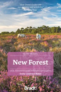 New Forest_cover