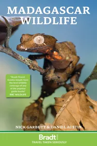 Madagascar Wildlife_cover