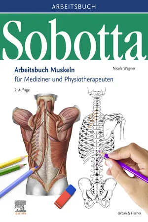 Sobotta Arbeitsbuch Muskeln