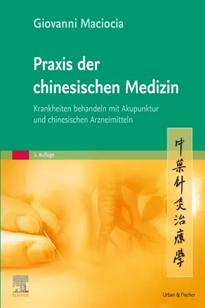 Praxis der chinesischen Medizin