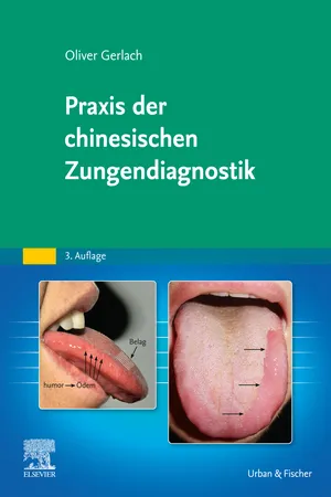 Praxis der chinesischen Zungendiagnostik