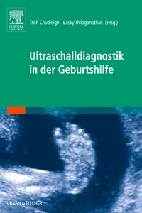 Ultraschalldiagnostik in der Geburtshilfe_cover