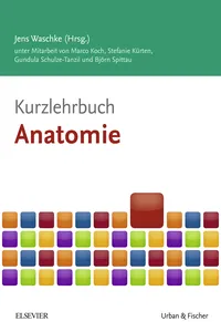 Kurzlehrbuch Anatomie_cover