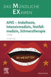 MEX Das Mündliche Examen - AINS_cover