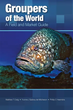 Groupers of the World