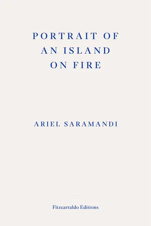 Portrait of an Island on Fire