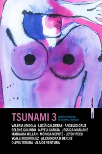 Tsunami 3_cover