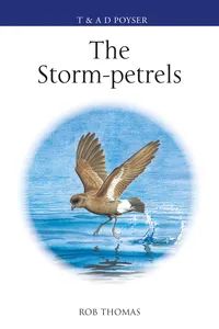 The Storm-petrels_cover