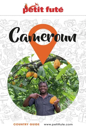 Guide Cameroun 2024/2025 Petit Futé
