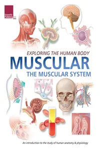 Exploring the Human Body: Muscular System_cover