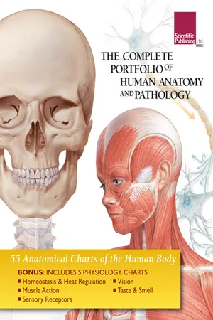 The Complete Portfolio 
of Human Anatomy and Pathology