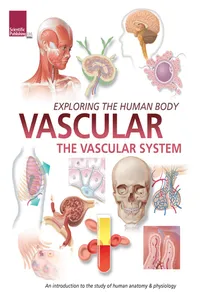 Exploring the Human Body: Vascular System_cover