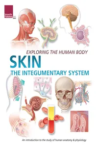 Exploring the Human Body: Skin_cover