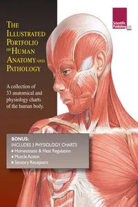 Illustrated Portfolio of Human Anatomy and Pathology_cover