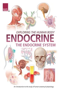 Exploring the Human Body: Endocrine System_cover