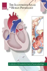 The Illustrated Atlas of Human Physiology_cover