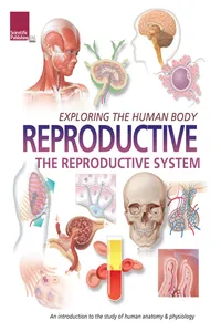 Exploring the Human Body: Reproductive System_cover