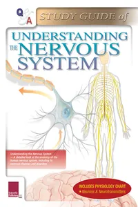 Q Understanding the Nervous System Study Guide_cover