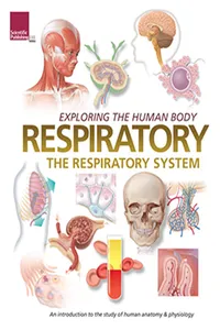 Exploring the Human Body: Respiratory System_cover